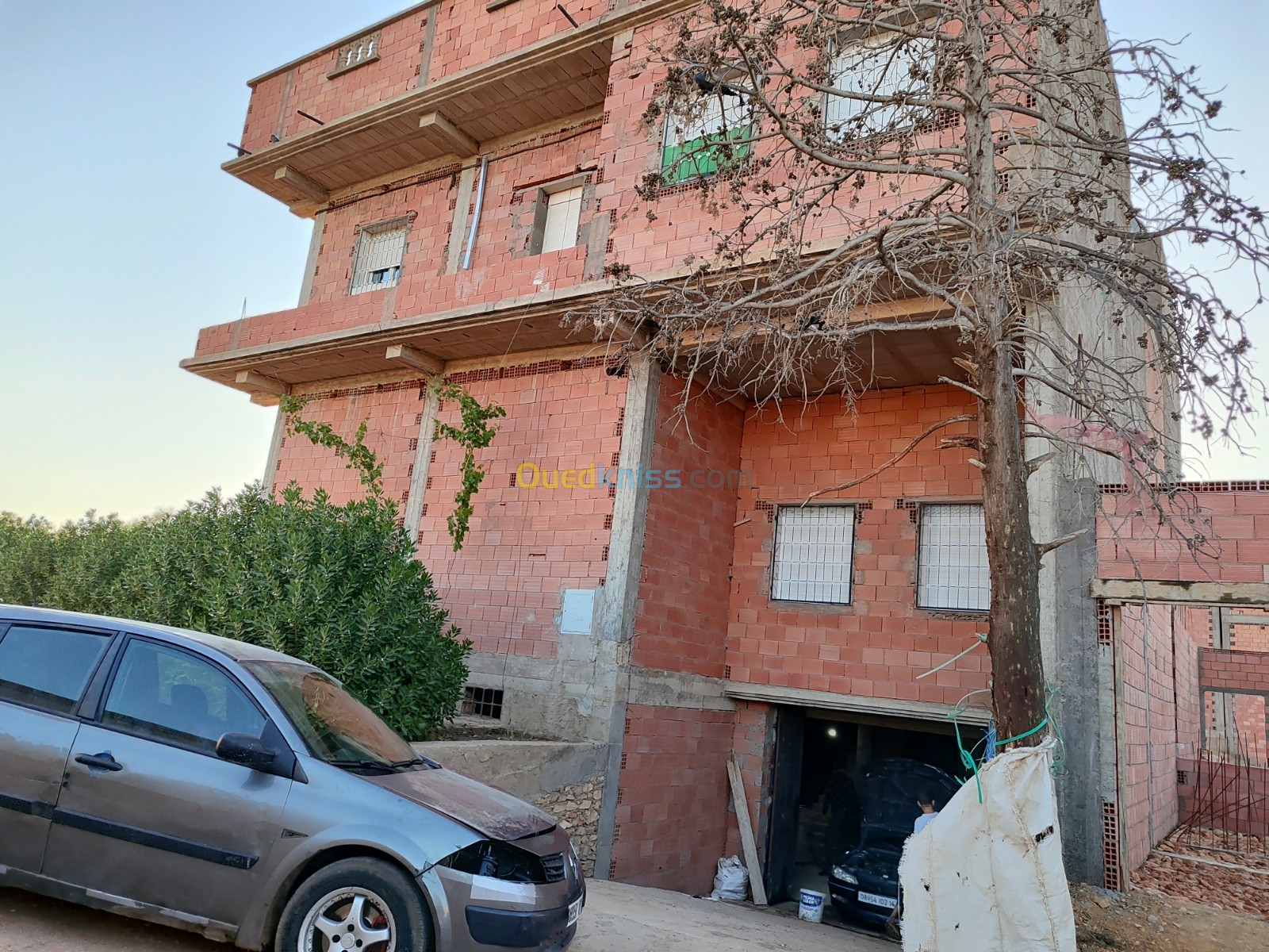 Vente Villa Tiaret Dahmouni