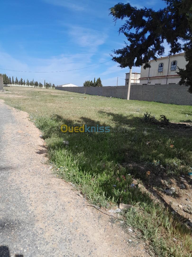 Vente Terrain Sétif Guelal