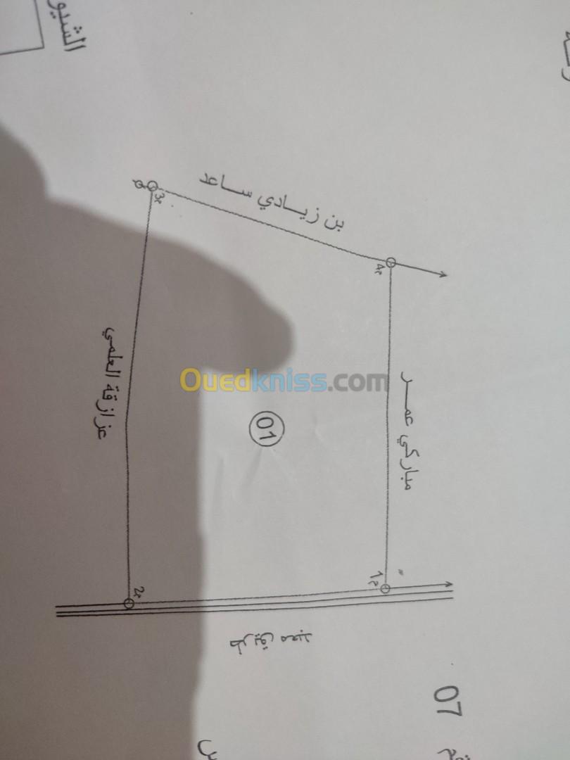 Vente Terrain Biskra Ain naga