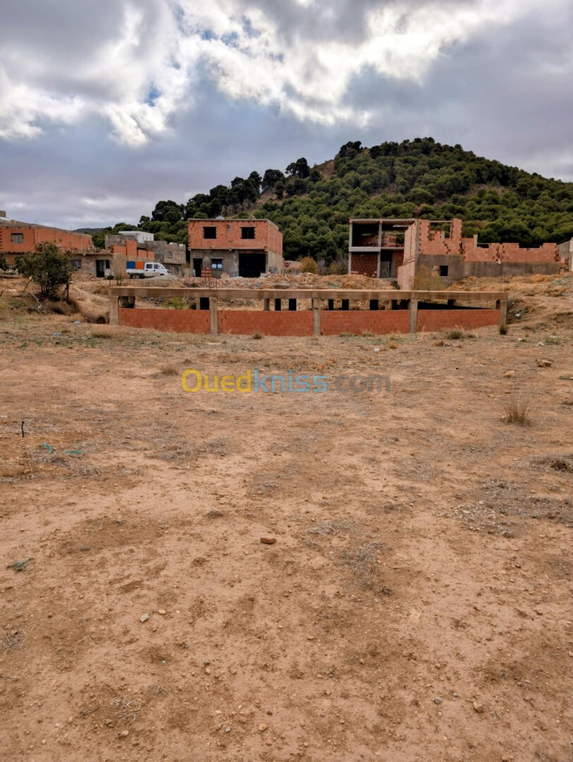 Vente Terrain Tlemcen Tlemcen