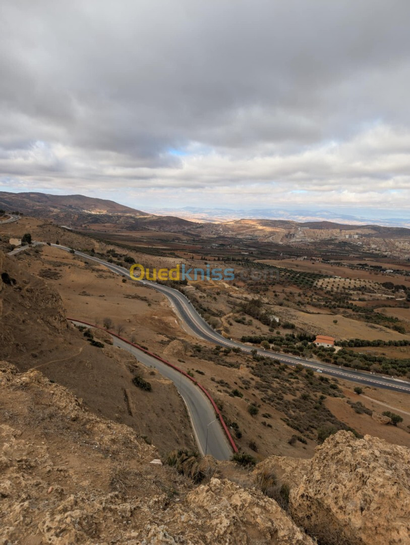 Vente Terrain Tlemcen Tlemcen