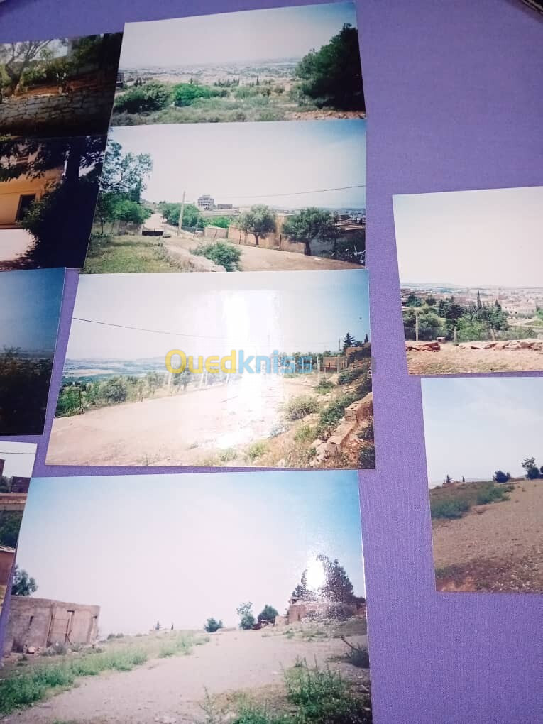 Vente Terrain Tlemcen Tlemcen