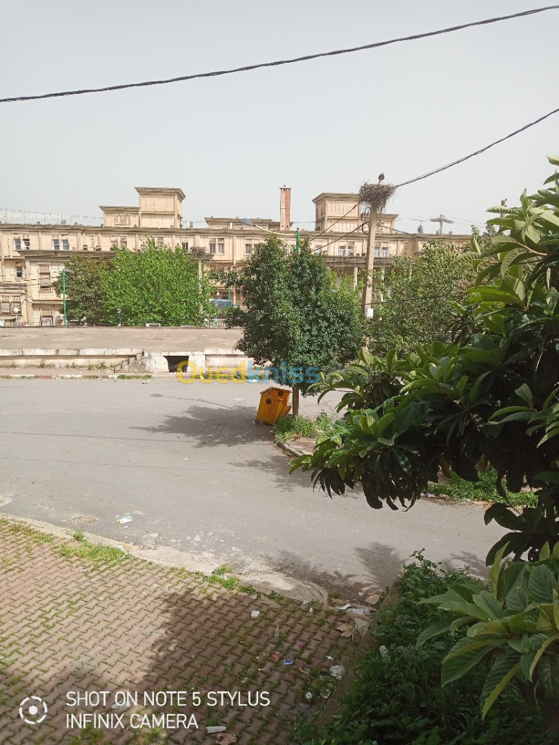 Location Appartement F3 Tizi Ouzou Tizi ouzou