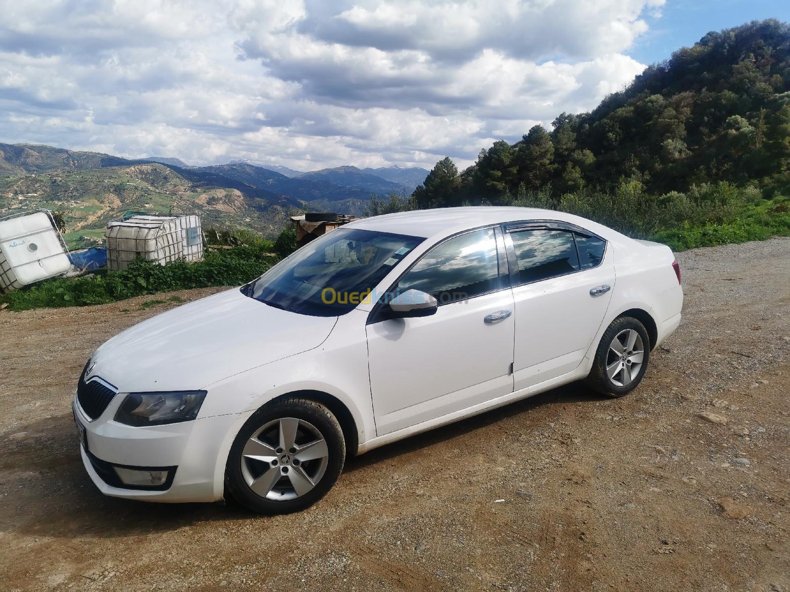 Skoda Octavia 2014 Ambiente