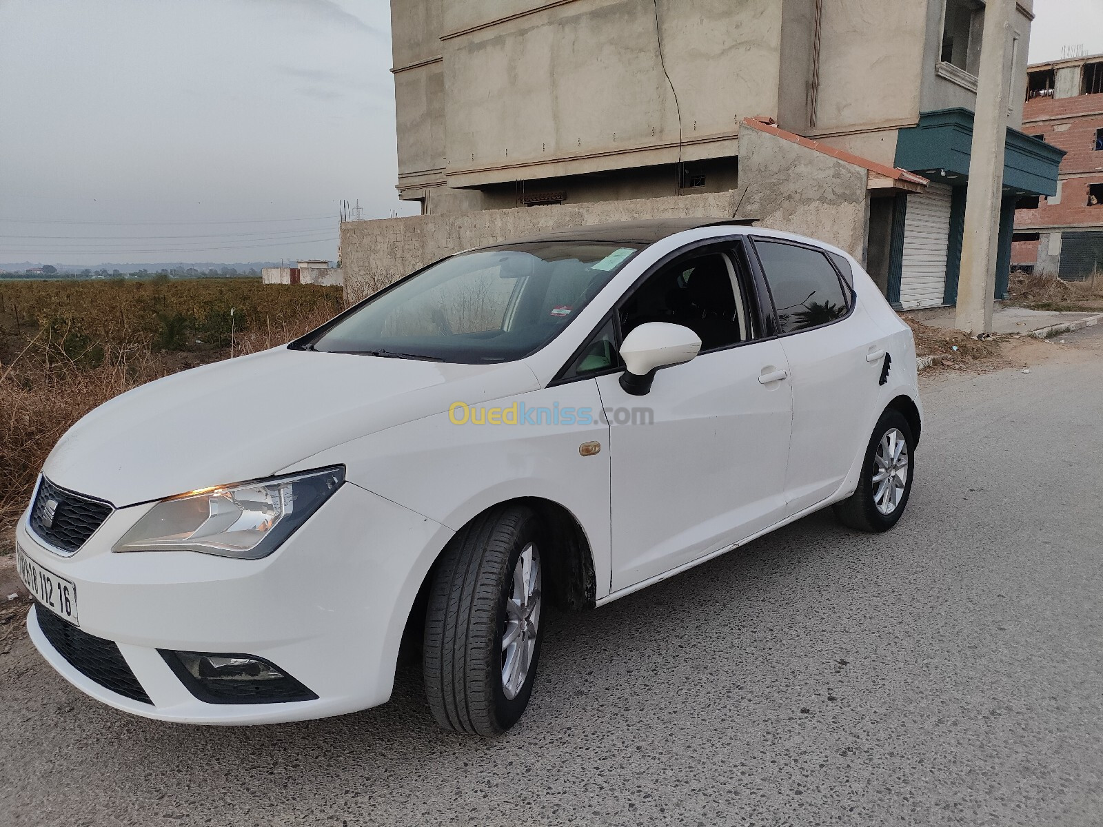 Seat Ibiza 2012 Fully