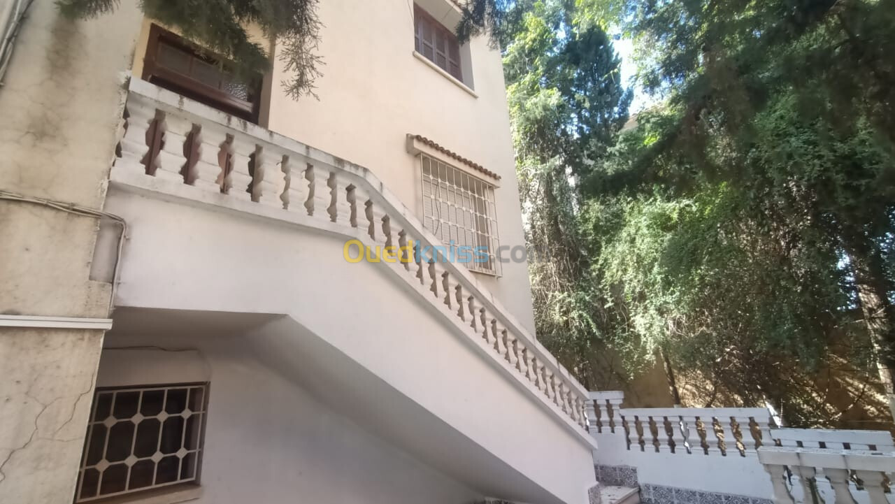 Location Appartement F1 Alger El mouradia