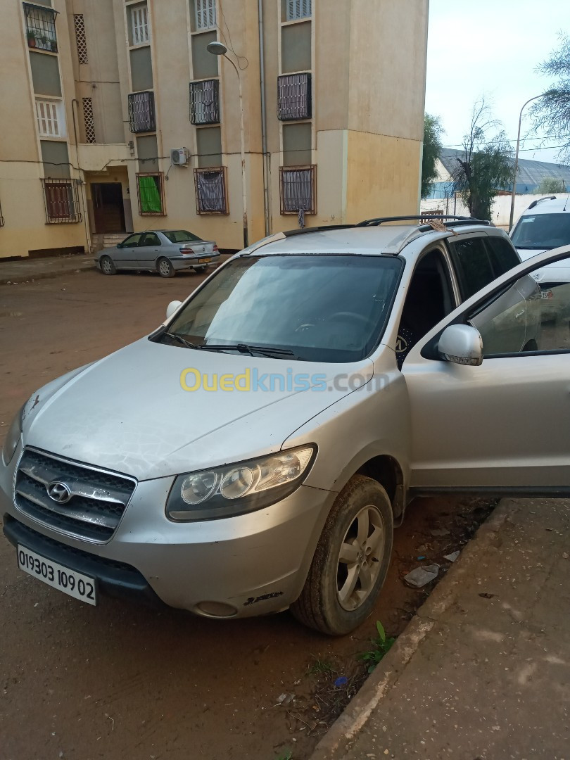 Hyundai SantaFe 2009 SantaFe