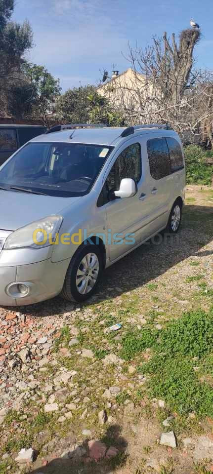 Citroen Berlingo 2009 Berlingo