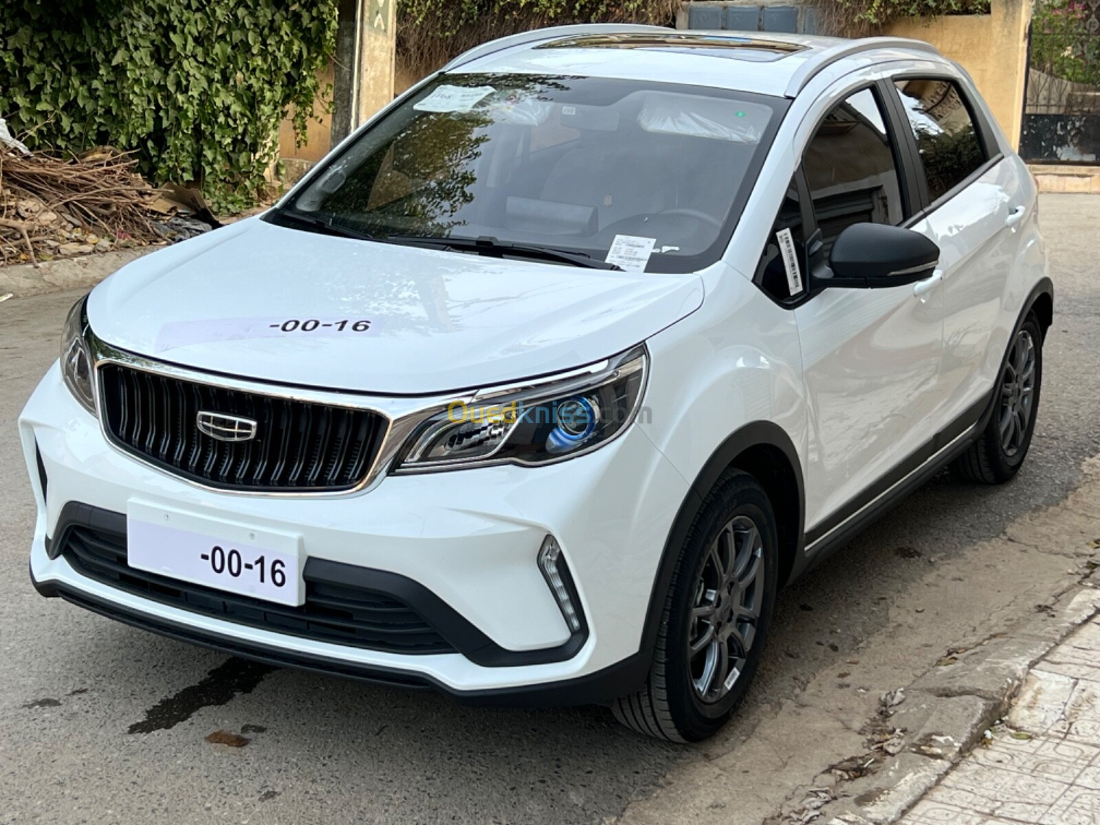 Geely Gx3 pro 2024 Previlag