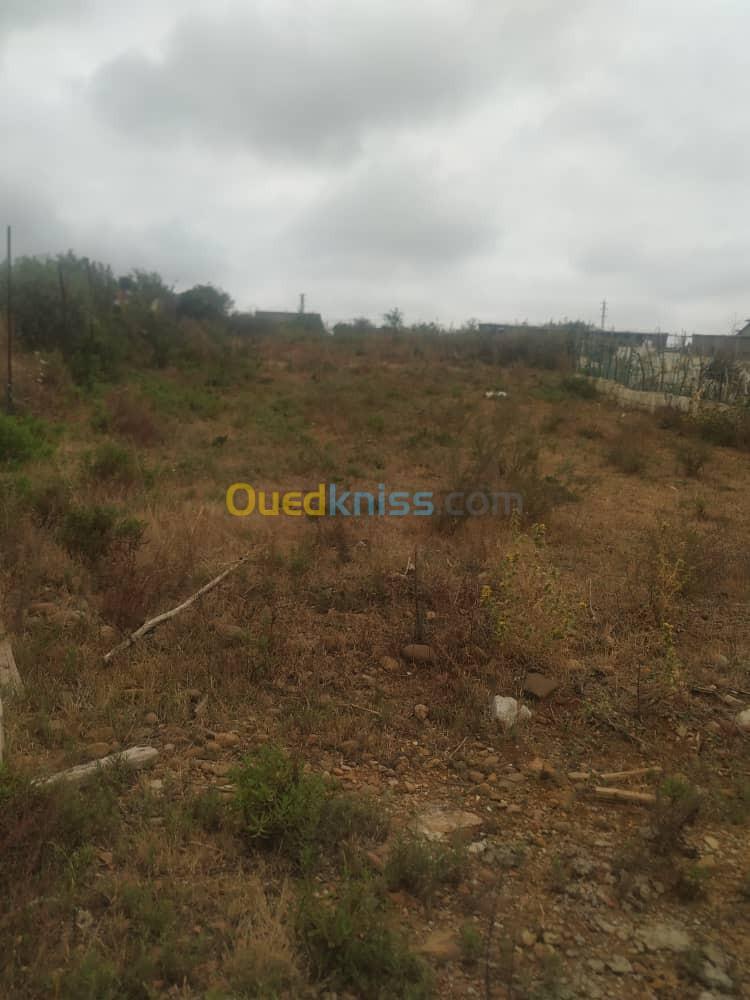 Vente Terrain Jijel Taher