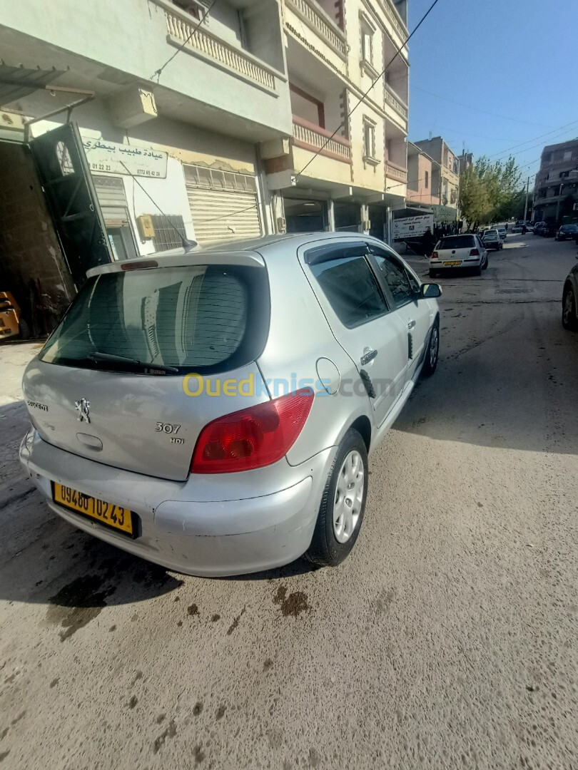 Peugeot 307 2002 307