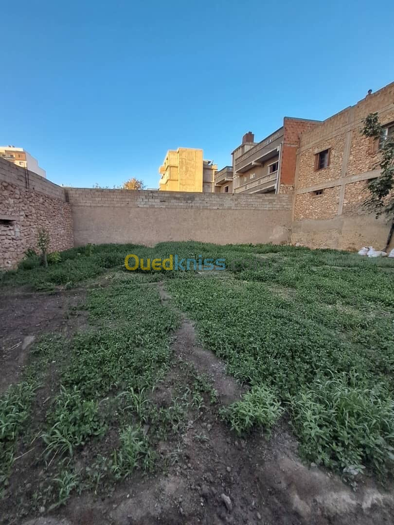 Vente Terrain Oran Bir el djir