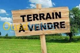 Vente Terrain Alger Hraoua