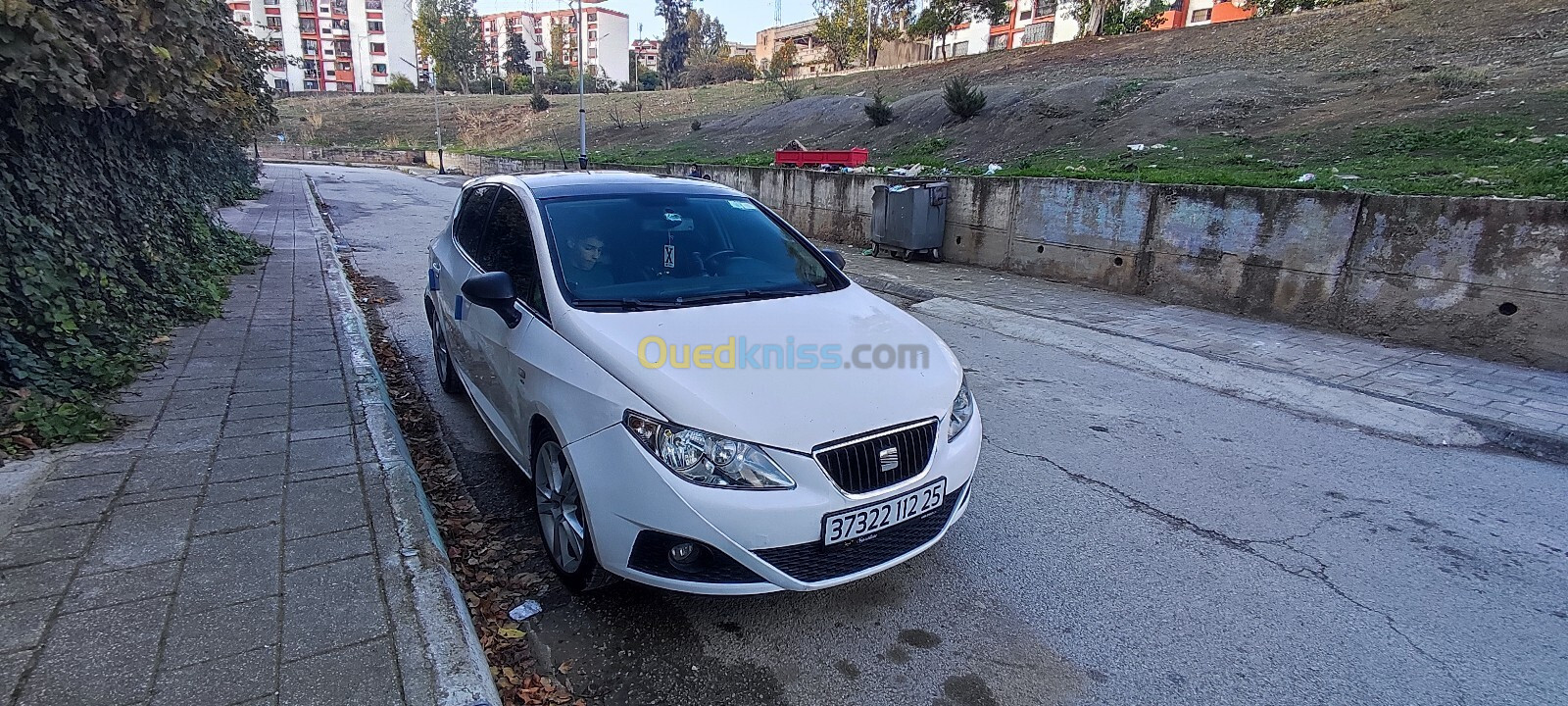 Seat Ibiza 2012 Loca