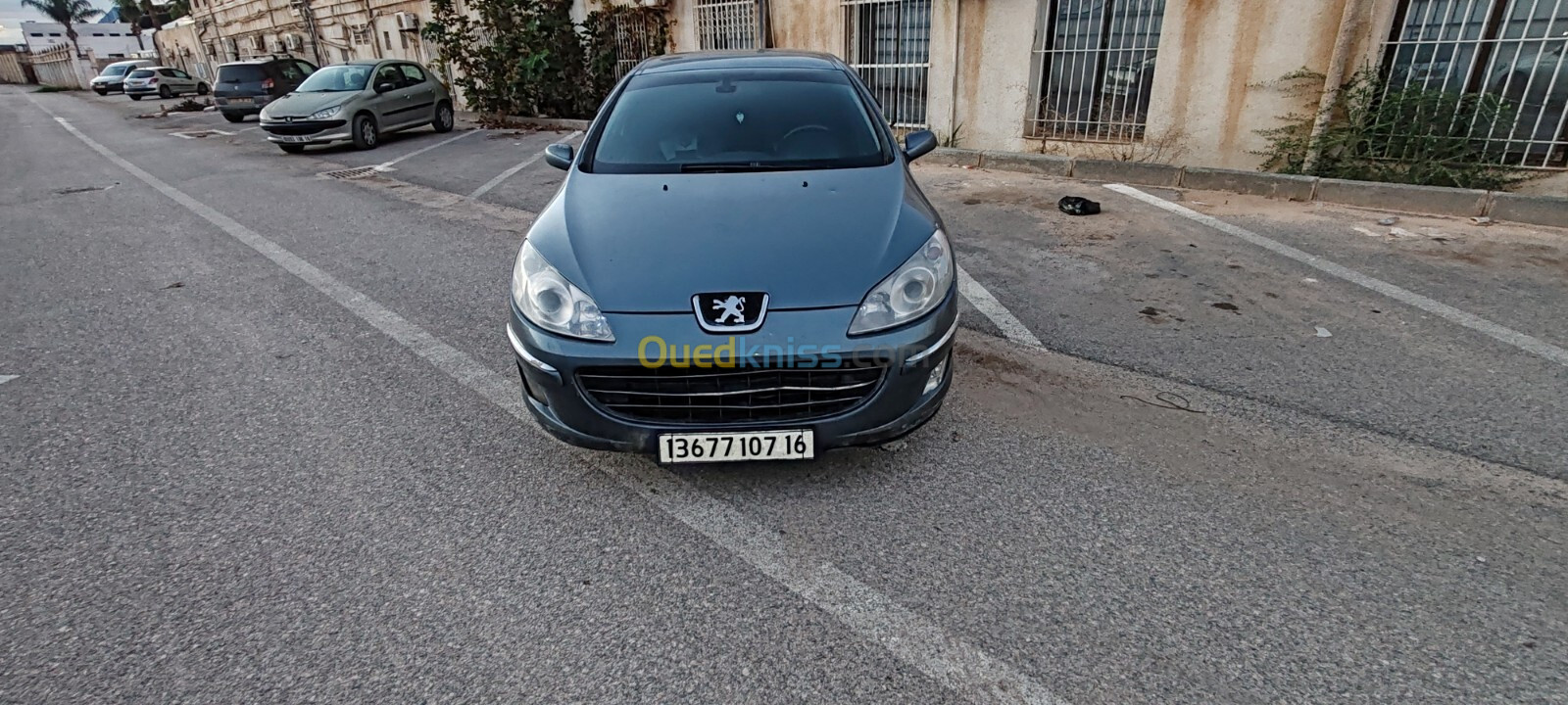 Peugeot 407 2007 407