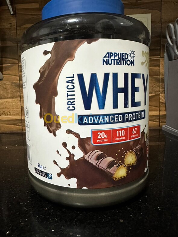 whey protein 