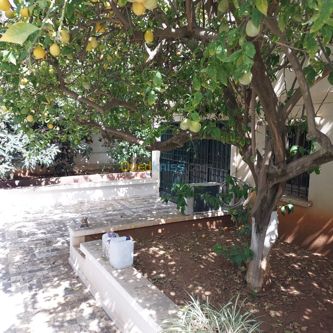 Location Villa Alger Ben aknoun