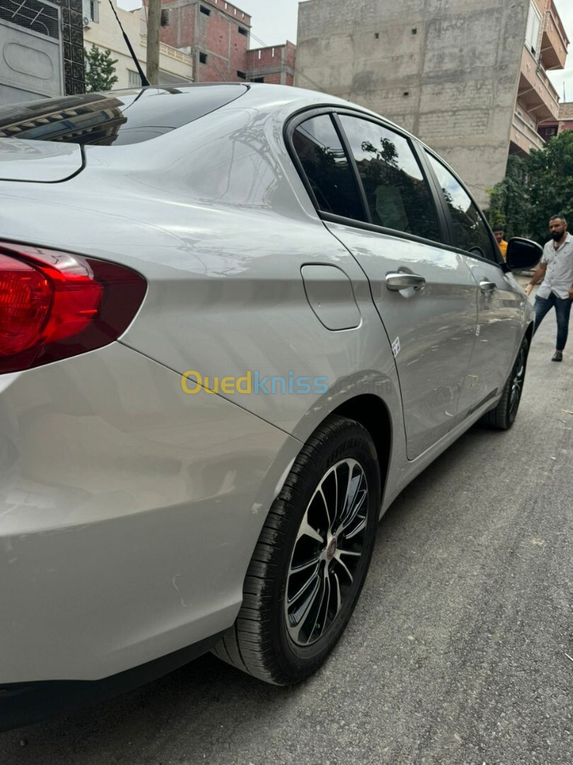 Fiat Tipo 2024 Citi