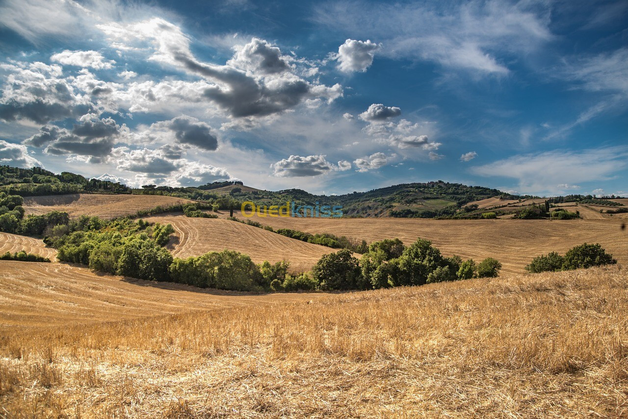 Vente Terrain Tizi Ouzou Tizi ouzou