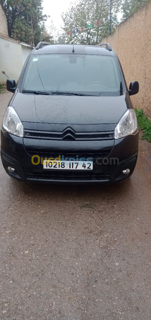 Citroen Berlingo 2017 Berlingo