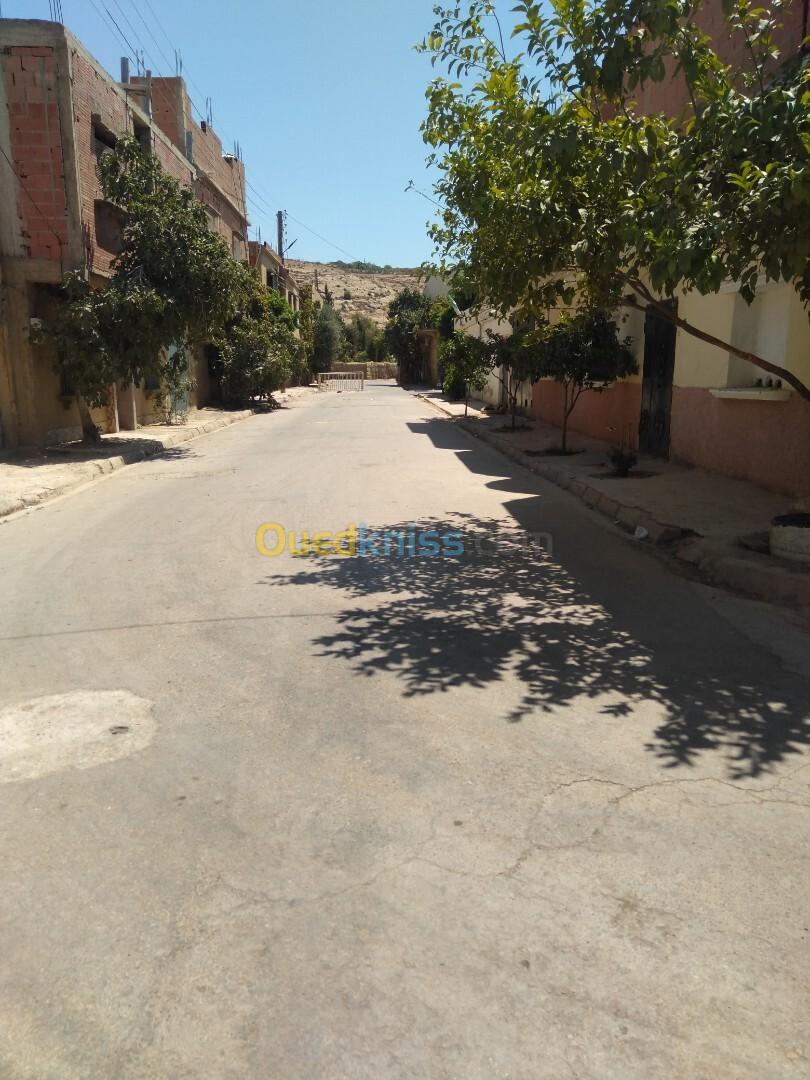 Vente bien immobilier Relizane Oued rhiou