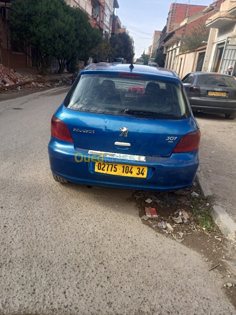 Peugeot 307 2004 307