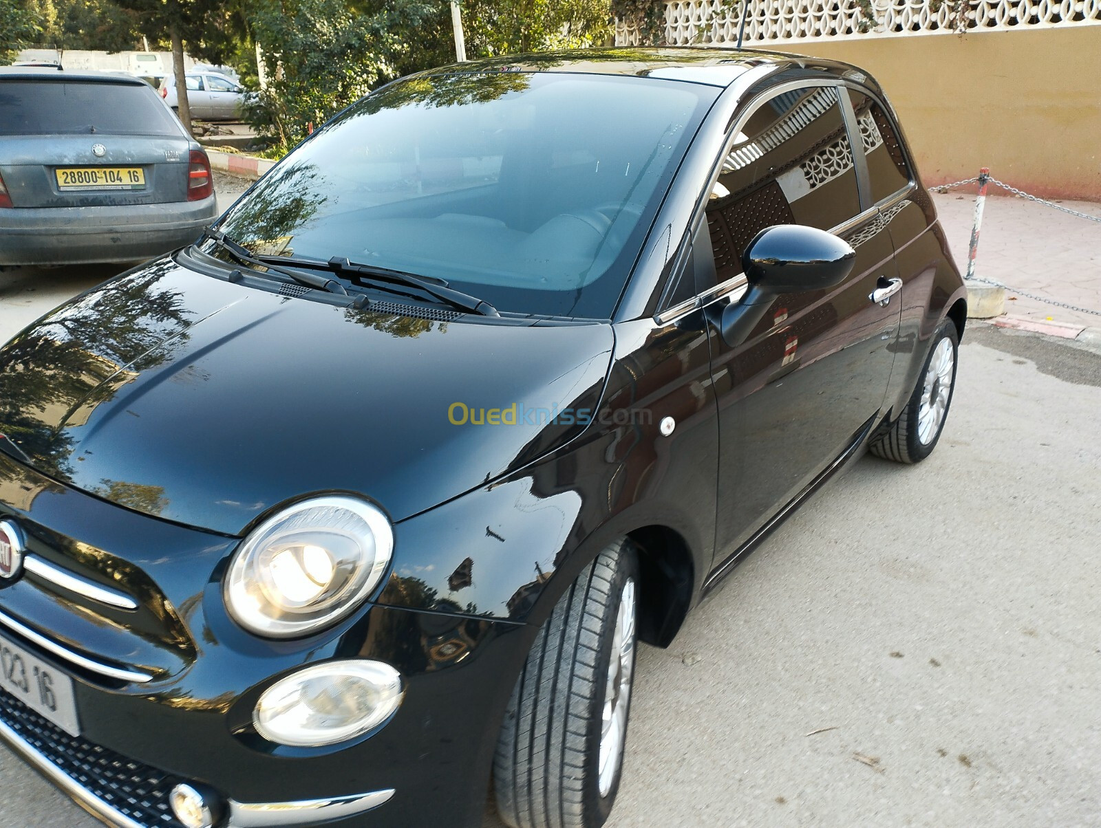 Fiat 500 2023 Clup