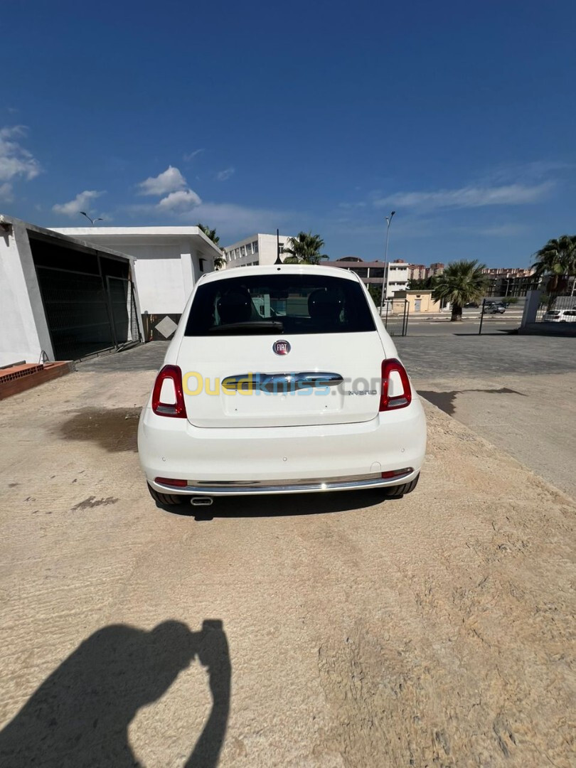 Fiat 500 2024 Club