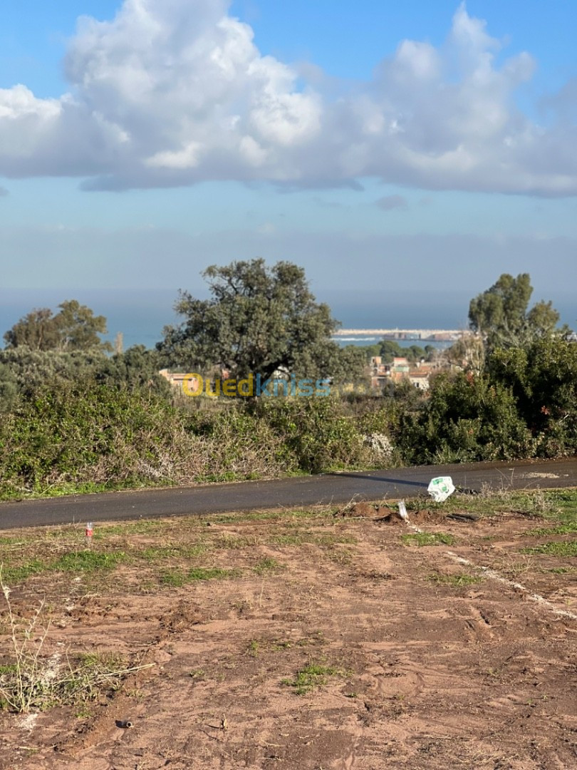 Vente Terrain Boumerdès Zemmouri