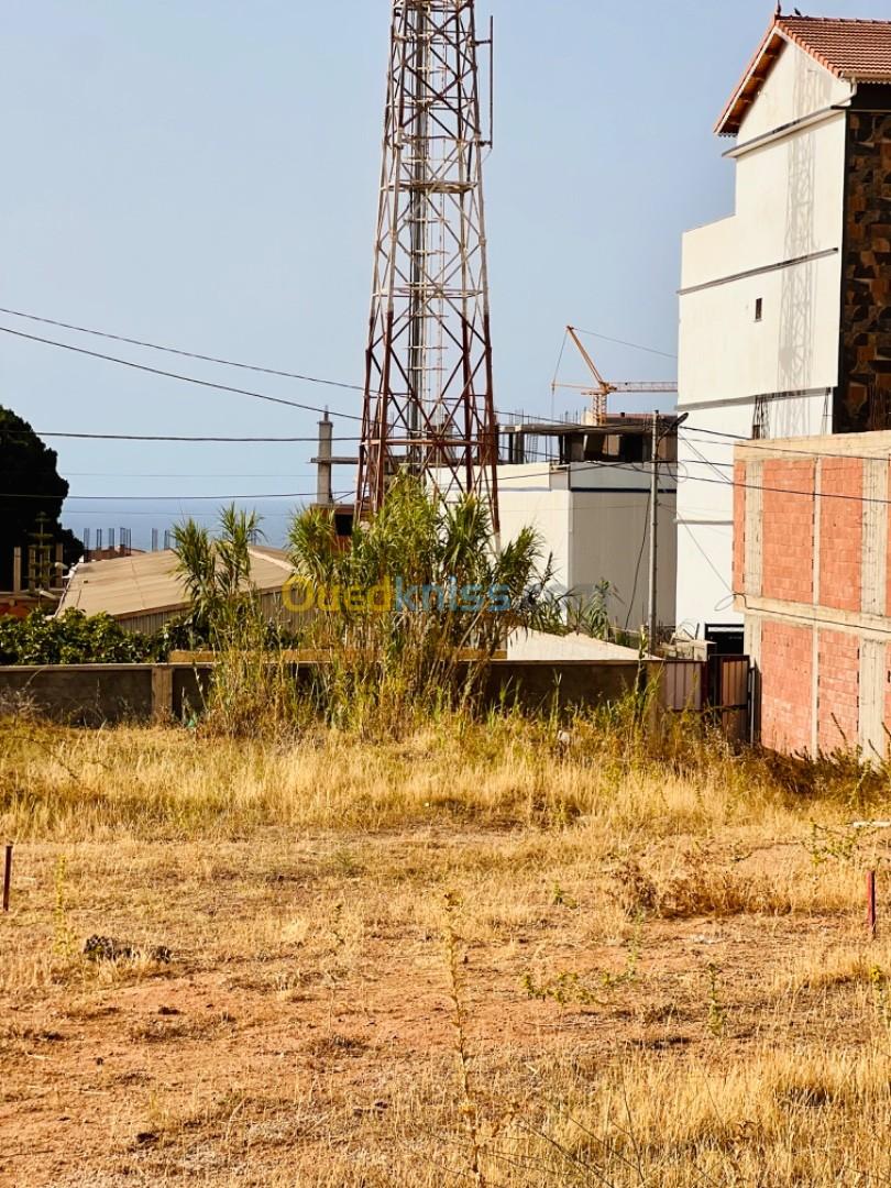 Vente Terrain Boumerdès Zemmouri