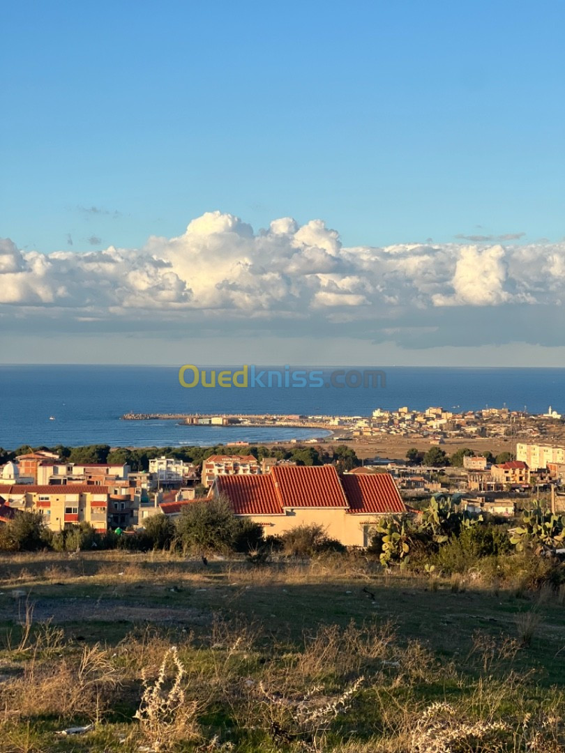 Vente Terrain Boumerdès Zemmouri