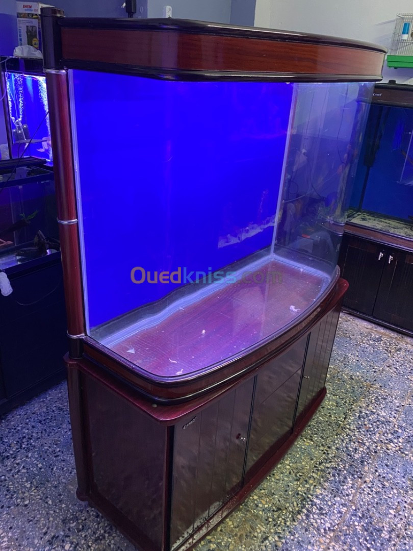 Aquarium panoramique 