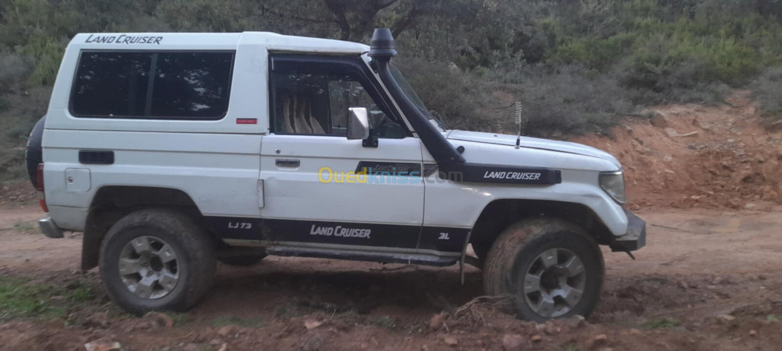 Toyota Land Cruiser 1989 Land Cruiser