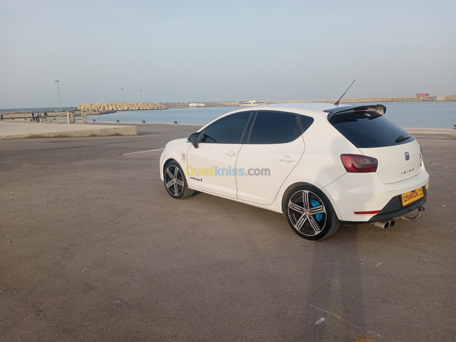 Seat Ibiza 2012 Fully