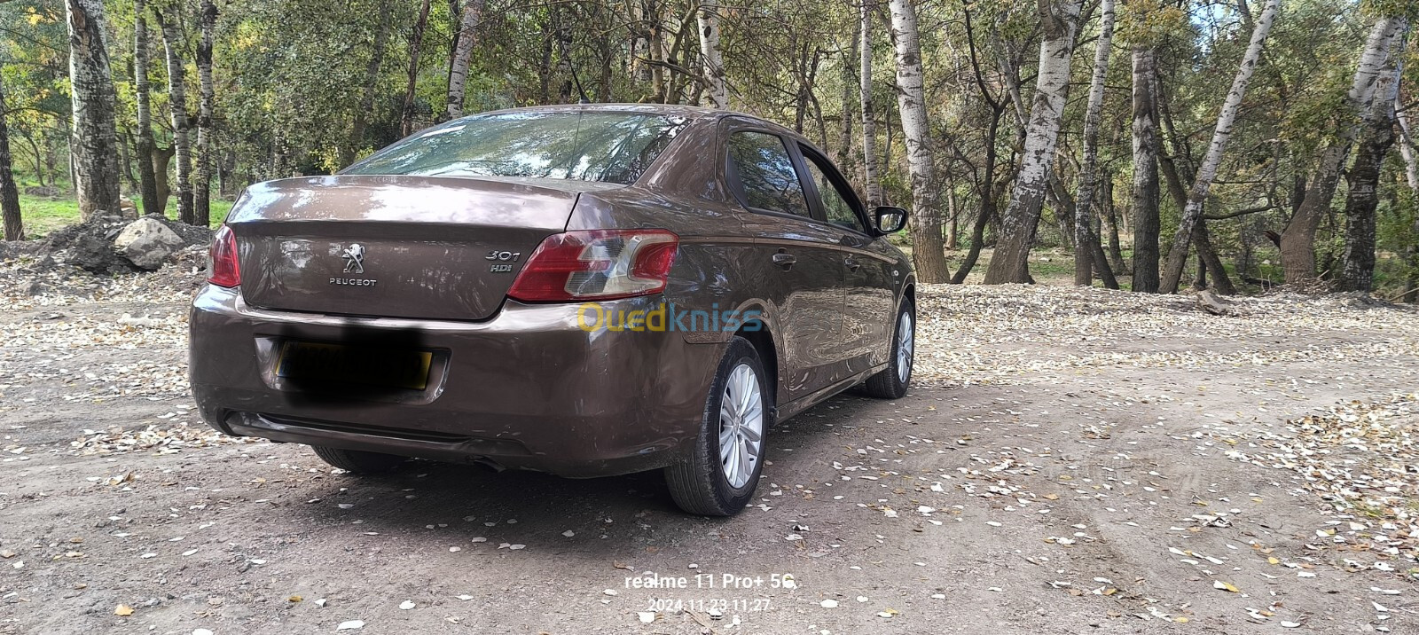 Peugeot 301 2015 Active