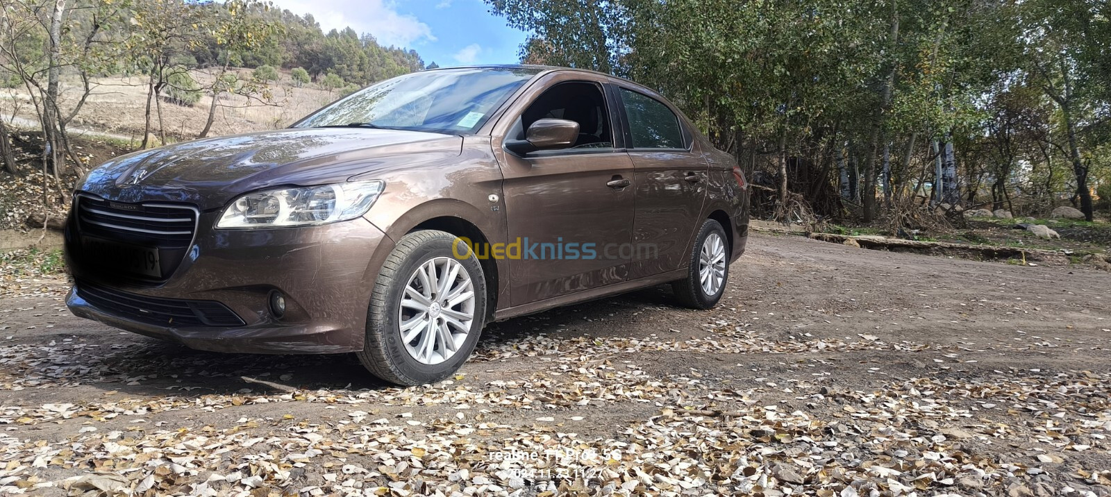 Peugeot 301 2015 Active