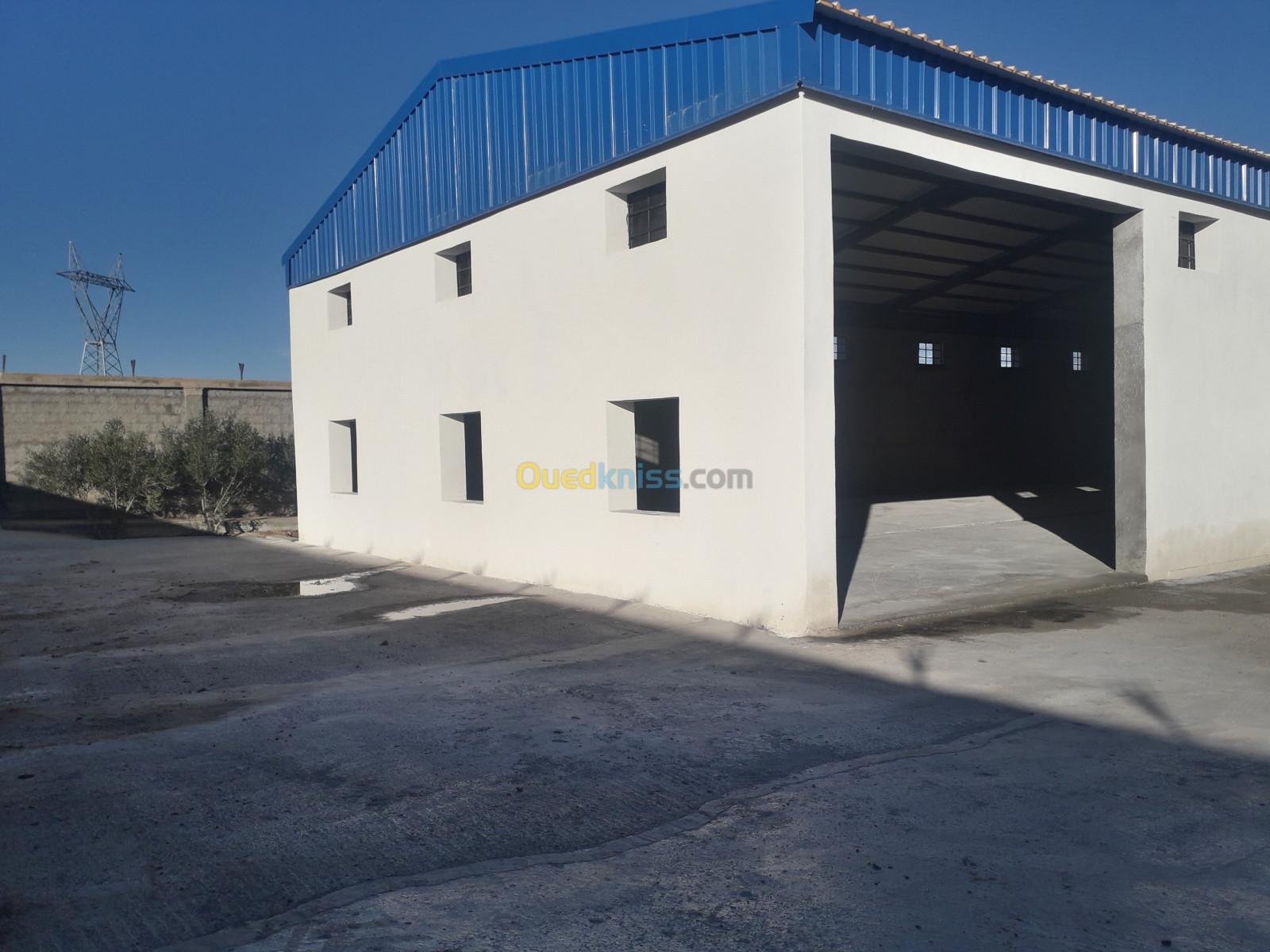 Vente Hangar Setif Guidjel