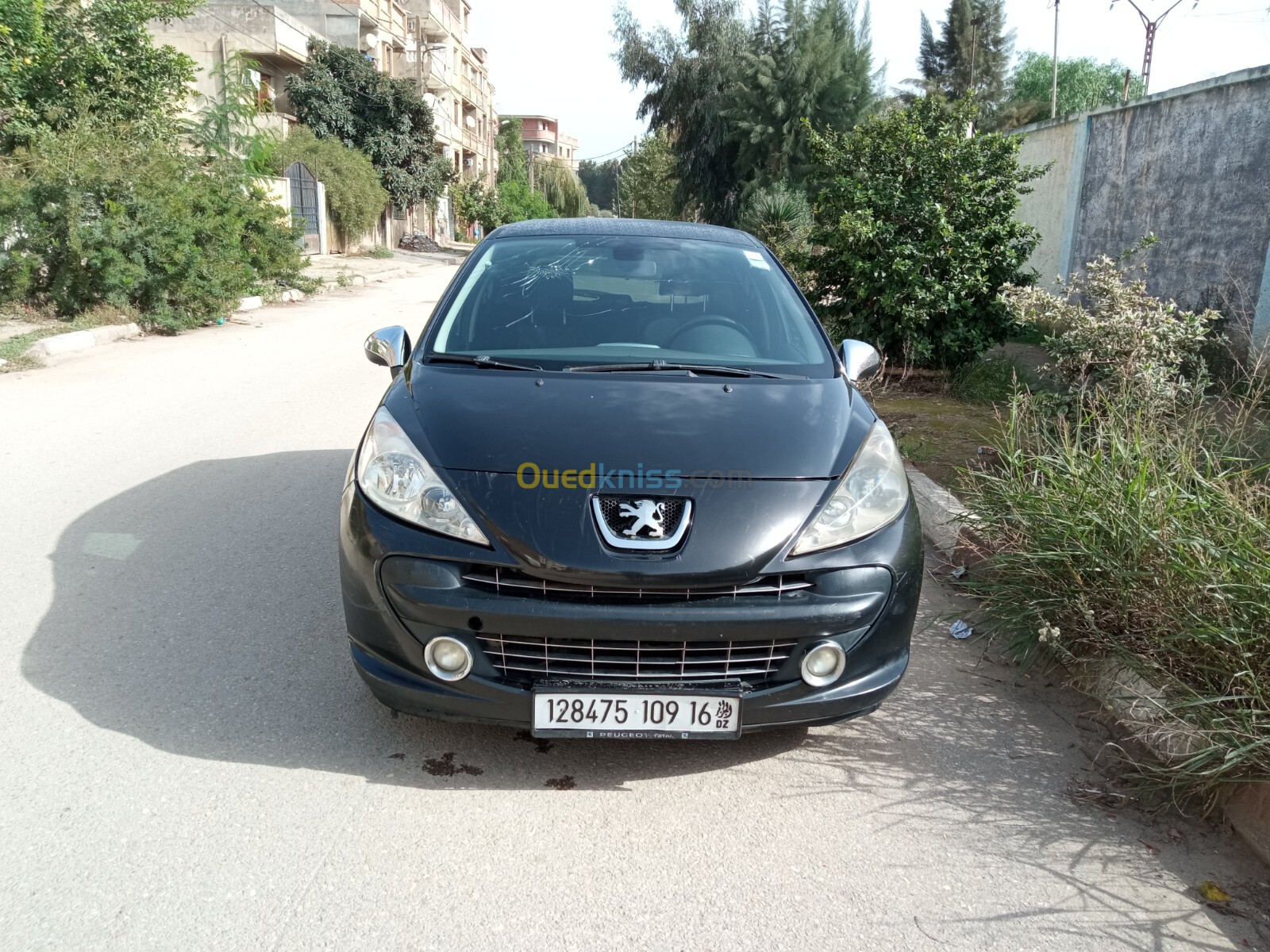 Peugeot 207 2009 Sportium