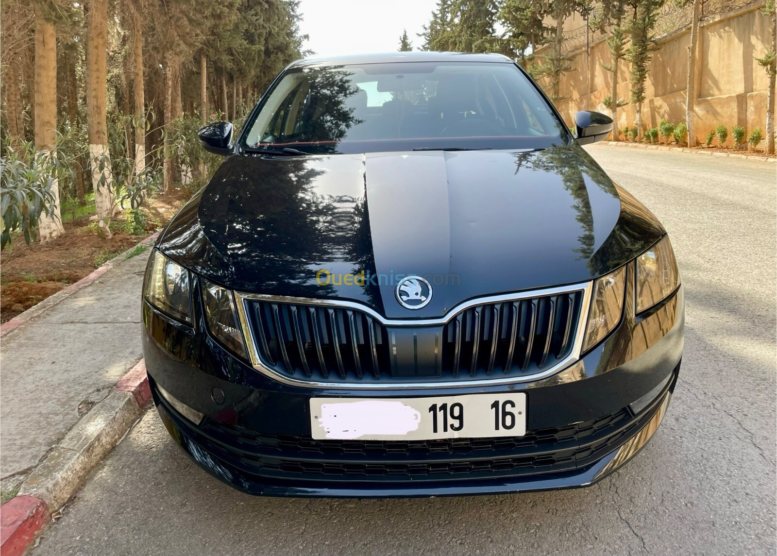 Skoda Octavia 2019 Ambition