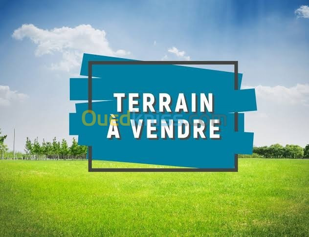 Vente Terrain Oran Oran