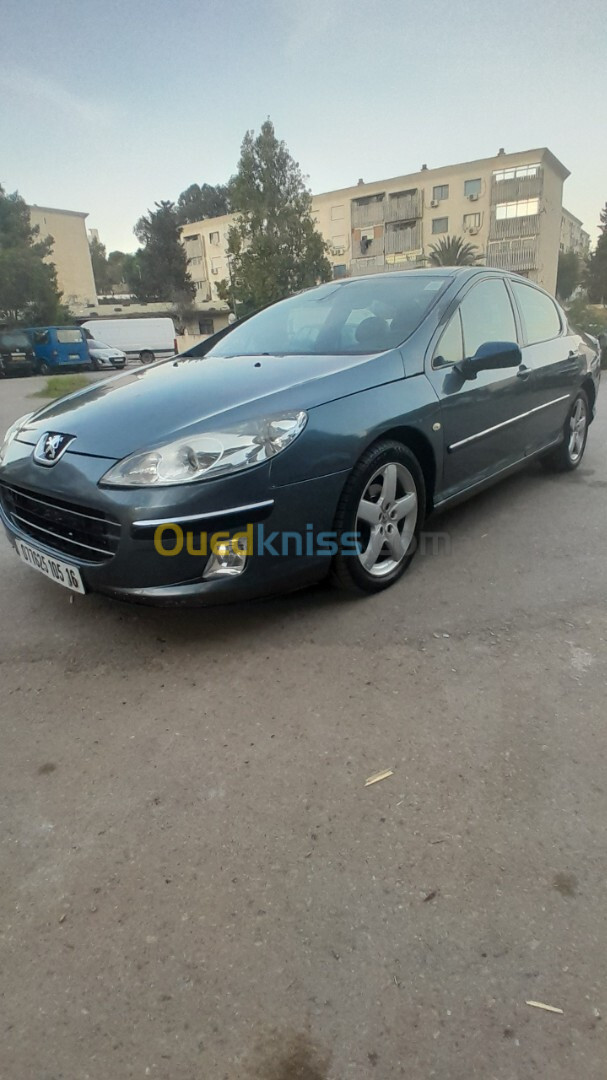 Peugeot 407 2005 407