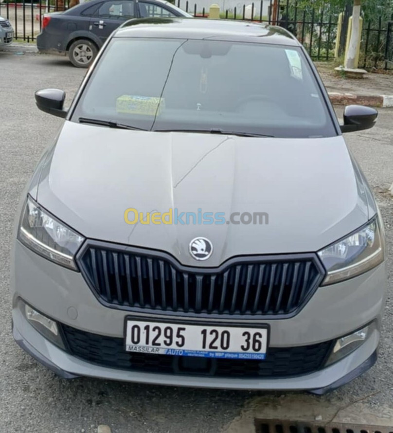 Skoda Fabia 2020 Monte Carlo