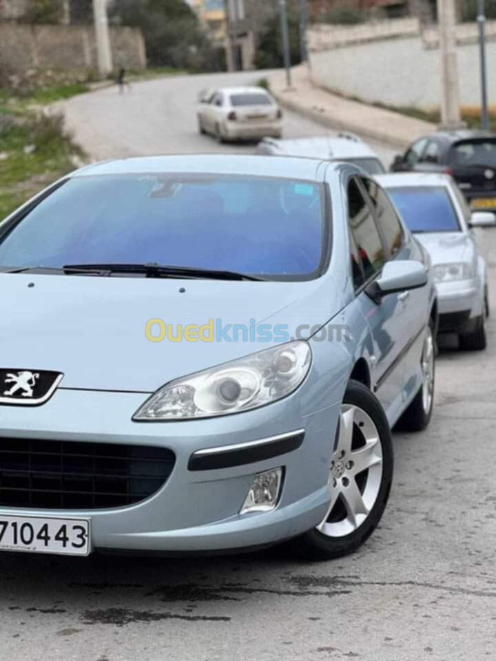 Peugeot 407 2004 407