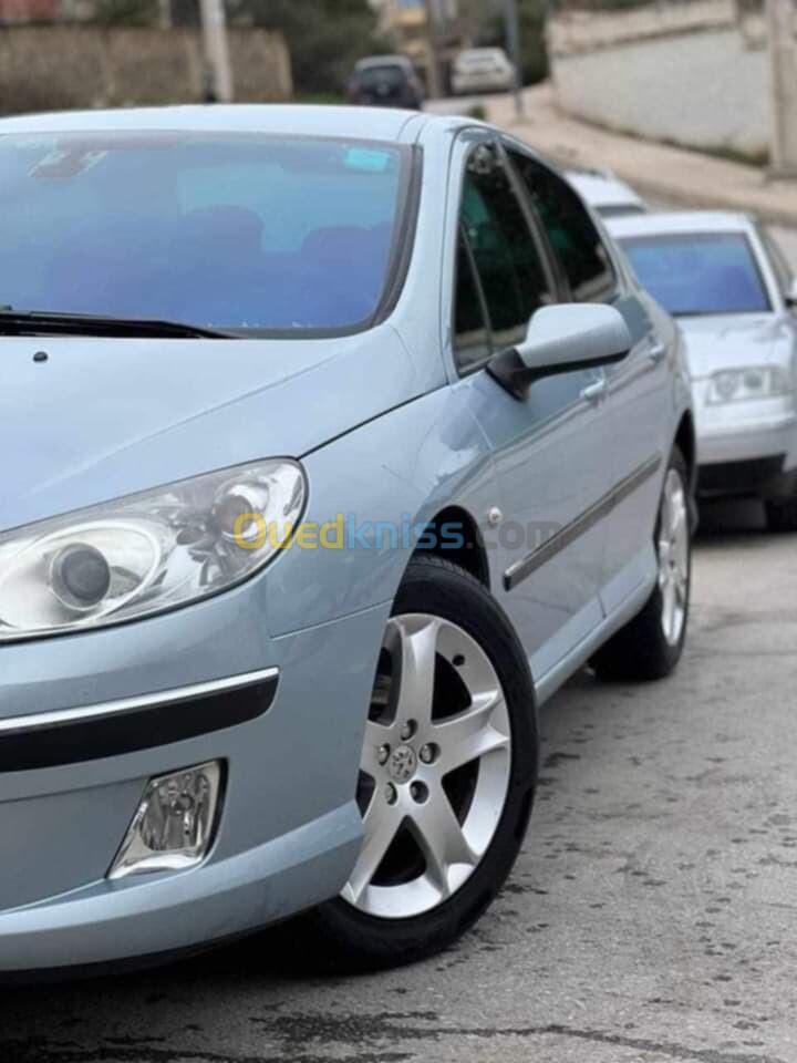 Peugeot 407 2004 407