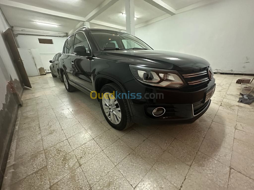 Volkswagen Tiguan 2014 Cup