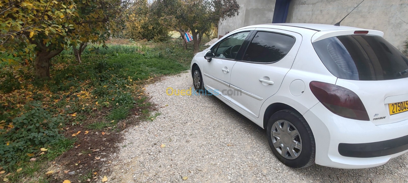 Peugeot 207 2012 207