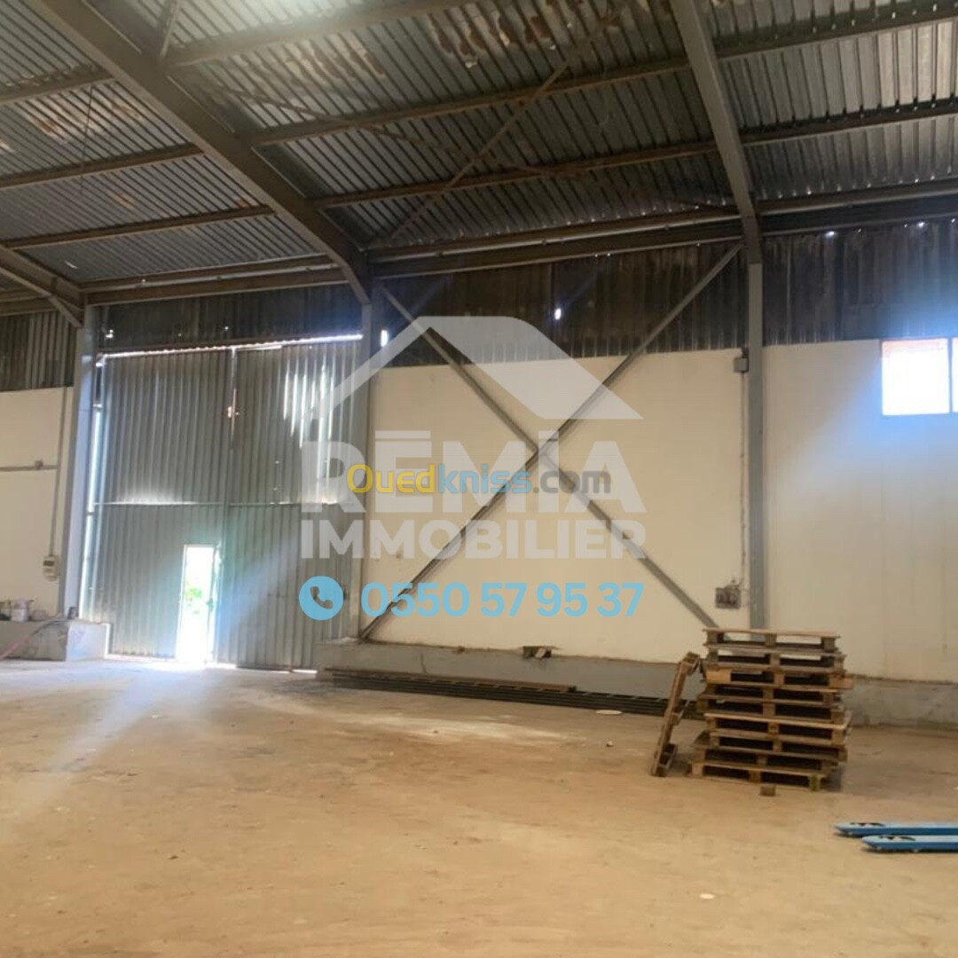 Location Hangar Alger Oued smar