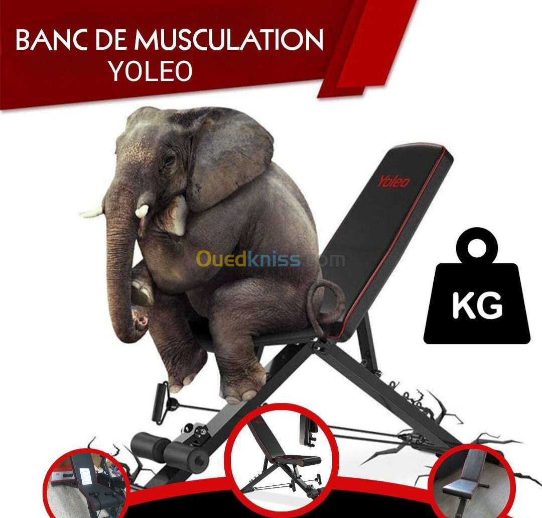 Banc de musculation flott  