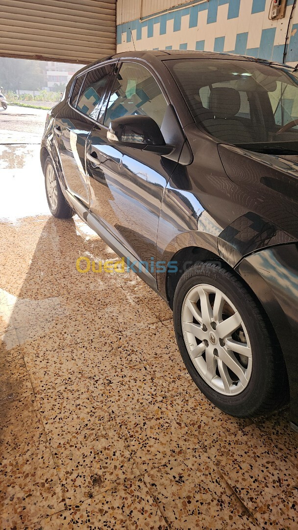 Renault Megane 3 2010 Privilege