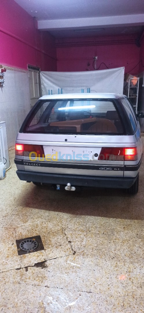 Peugeot 405 1992 405